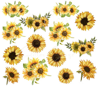 Sunflower UV DTF 10x5 inch sheet