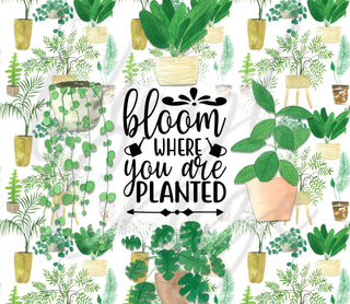 Bloom Where You're Planted 20 or 30 oz Skinny Adhesive Vinyl Wrap