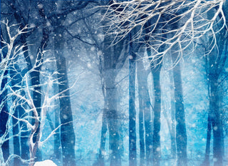 Frozen Forest - Adhesive Vinyl Wrap