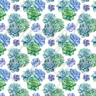 Purple and Green Succulents Adhesive Vinyl