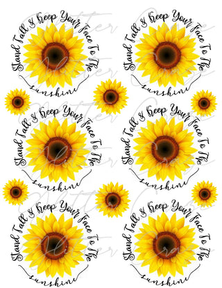 Stand tall and keep your face to the sunshine PNG Download