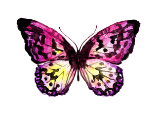 Watercolor Butterfly - Adhesive Vinyl Decal